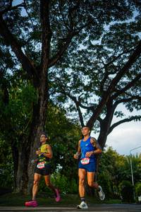 BIB: 
                            <button type="button" onclick="openModal(26551066)" class="btn btn-primary btn-sm float-right btn-popup" data-toggle="modal" data-target=".modal-high-quality">
                        <i class="fas fa-shopping-cart"></i> Add to Cart
                    </button>
                                            <button type="button" onclick="isThisMe(26551066, true)" class="btn btn-success btn-sm float-right btn-popup btn-isme hidden" data-toggle="tooltip" data-placement="bottom" title="นี่คือรูปของคุณใช่ไหม คลิกที่นี่เพื่อเอาเข้าอัลบั้ม">
                        <i class="fas fa-plus"></i> Add to album
                    </button>
                    <button type="button" onclick="isThisMe(26551066, false)" class="btn btn-warning btn-sm float-right btn-popup btn-isnotme hidden">
                        <i class="fas fa-ban"></i> Remove from album
                    </button>